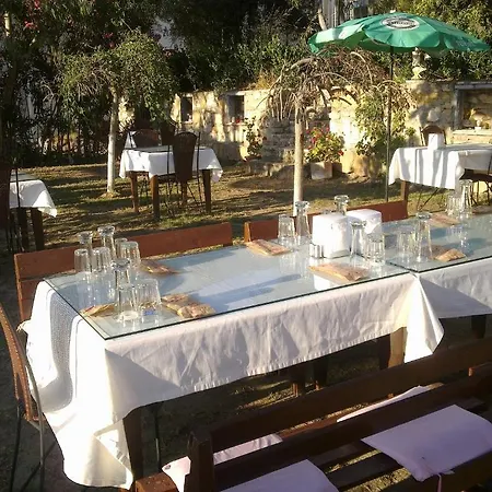 Papillon * Çeşme