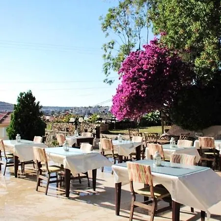 Papillon * Cesme