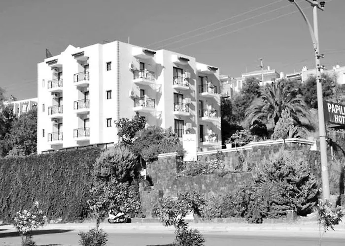 Papillon * Çeşme