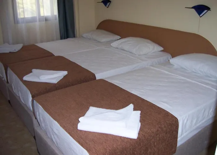 Papillon * Çeşme