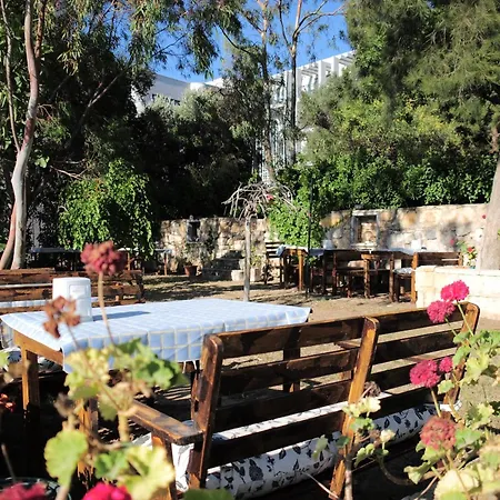 ホテル Papillon Çeşme