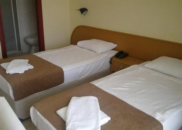 Papillon Отель *