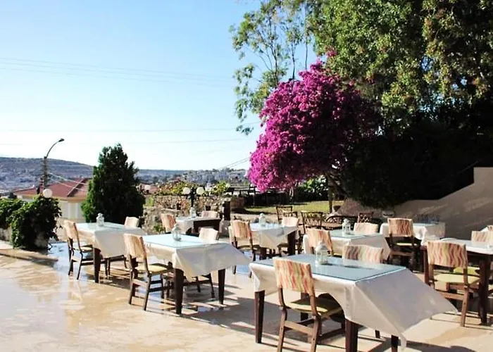 Papillon * Кешме